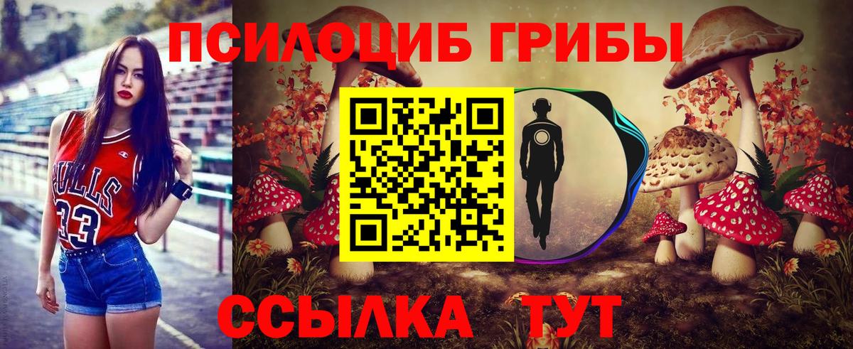 Галлюциногенные грибы Psilocybe Тосно